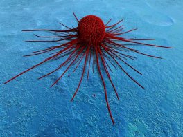 Cancer Cell