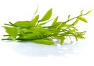 Greens