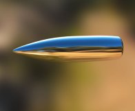 TheSilver Bullet